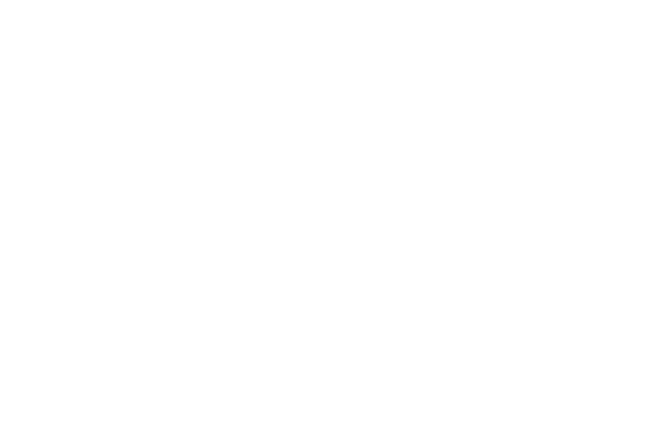 Logo RAY (blanco)